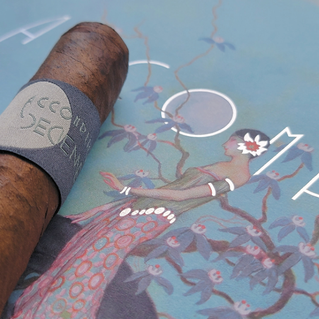 10th ANNIVERSARY DECIENNE (6.5x54) Principle Accomplice