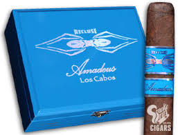 Recluse Amadeus Los Cabos Tarantula 6x60